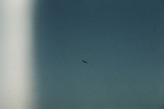 1_F4720022