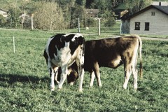 1_F4720028