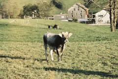 2_F4720021