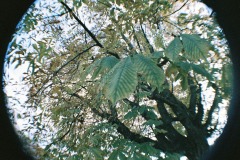 R1-02730-0033