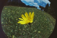R1-02732-0009