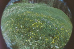 R1-02732-0015
