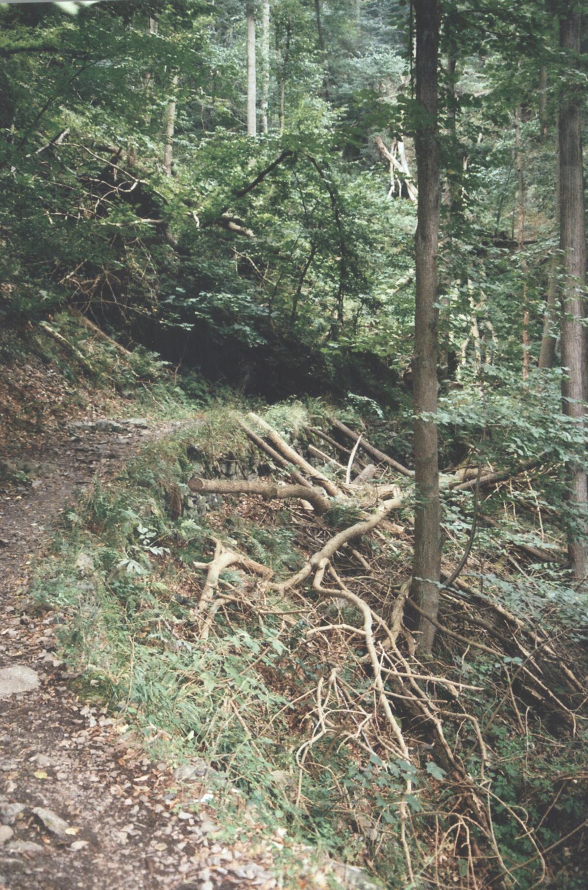 Wegende